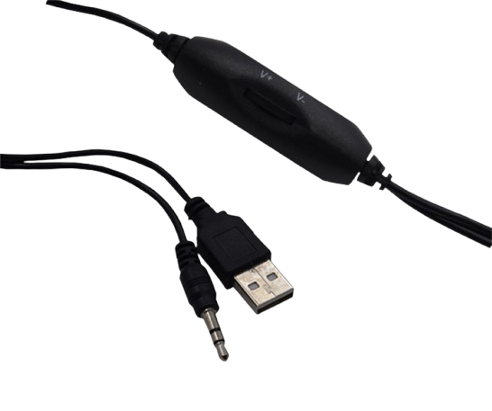 Mini Casse Speaker Usb Jack 3w con comando volume Linq AN-S631