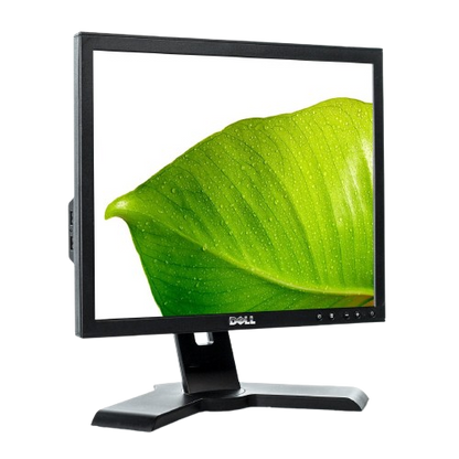 LCD DELL P170SB 17" 4:3 - GRADO A