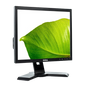 LCD DELL P170SB 17" 4:3 - GRADO A